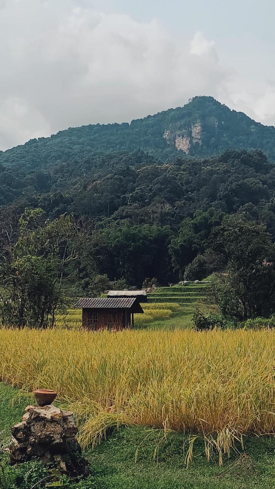 Cabinthai メーチェム エクステリア 写真